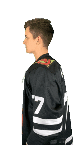 Hockeypunks Sticker by ledoritulys.lt