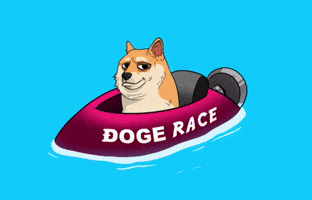 Boat Race Dogecoin GIF by Doge Pound