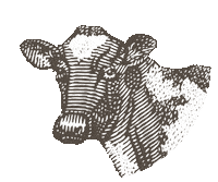 Dorsetdairy Sticker by DDC