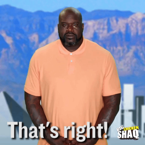 season 1 episode 6 GIF by Big Chicken Shaq
