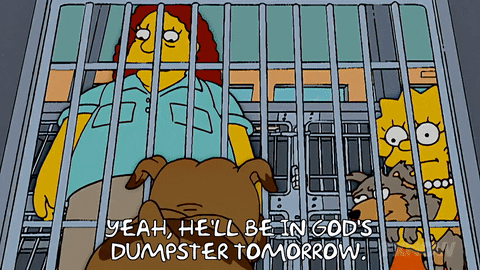 Lisa Simpson GIF by The Simpsons