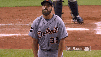 Detroit Tigers Michael GIF by MLB