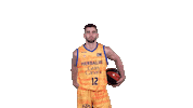Liga Endesa Basketball Sticker by ACB