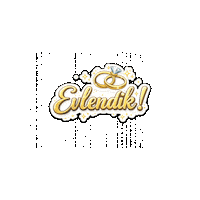 artibirorkestrasi evlilik teklif evlendik evlenme Sticker