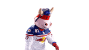 Rob Ice Hockey Sticker by EC Red Bull Salzburg