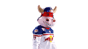 Rob Ice Hockey Sticker by EC Red Bull Salzburg