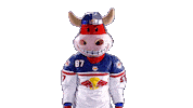 Rob Ice Hockey Sticker by EC Red Bull Salzburg