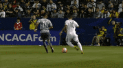 dance soccer GIF by LA Galaxy