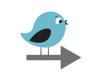 morningbird morningbird GIF