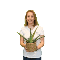 GreenMeUp green natur grun aloe Sticker
