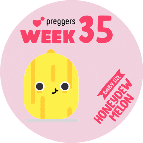 Honeydew Melon Baby Sticker by Preggers