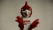 Rcnj Ramapocollege GIF by Ramapo College of New Jersey
