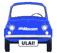 Fiat 500 Sticker by Autohäuser Pohlheim