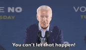 Joe Biden GIF by GIPHY News