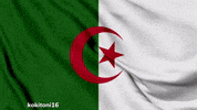 North Africa Flag GIF