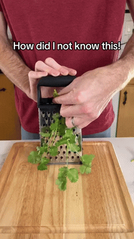 comment-economiser giphyupload GIF