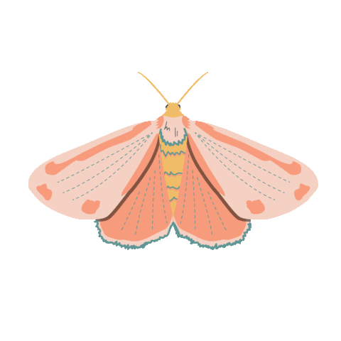 Fly Butterfly Sticker