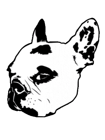 Dog Bulldog Sticker by Cavanagh Foyle