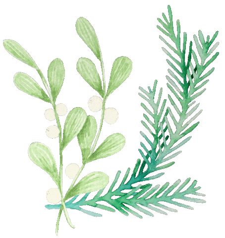 alpinetones leaves trees mistletoe pine Sticker