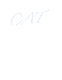 Happy Cat Sticker