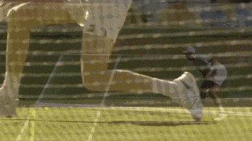 Sport Tennis GIF by Wimbledon