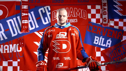 Hockeytown GIF by HC Dynamo Pardubice