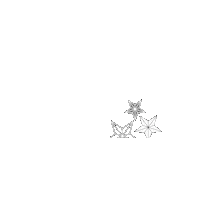 paperstarlights handmade starlights christmasstars paperstarlights Sticker
