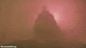 Godzilla Kong GIF by Warner Bros. Pictures