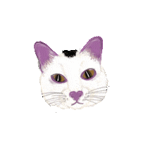 vanesabozo cat illustration talking bambuthecat Sticker