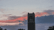 Time Lapse Football GIF by University of Florida