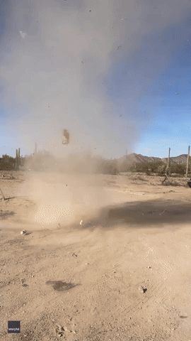 'Awesome' Arizona Dust Devil Whips Debris Into Air