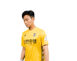 Football Goalkeeper Sticker by Incheon United FC