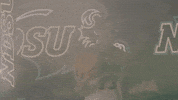 Ndsu Basketball GIF by NDSU Athletics