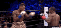 Fight Night boxing GIF by SHOWTIME Sports