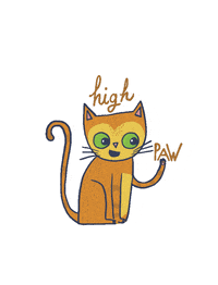 chariseharper high five happy cat charise harper GIF