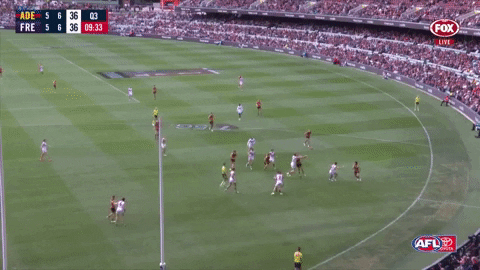 Goal Of The Year GIF by Adelaide Crows