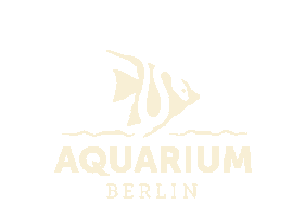 Logo Sticker Sticker by Zoo Berlin