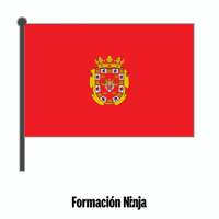 Flag Spain GIF by Formación Ninja