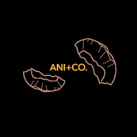 ani_andco coconut candleshop coconutwax aniandco GIF