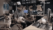 GIF by Kids' Choice Awards 2019