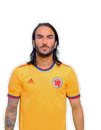 Copa America Football Sticker by Caracol Television