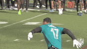 Pro Bowl Football GIF by NFL