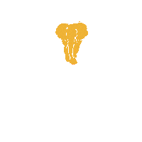 Amarula_Official amarula marula rulanation amarulacream Sticker