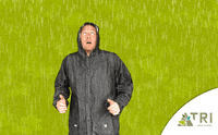 Boom Plant GIF by TRI Groei in Groen