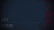 Pro GIF by USA Baseball