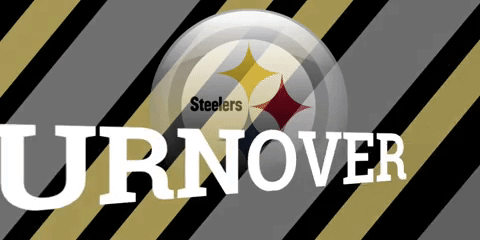 steelers GIF
