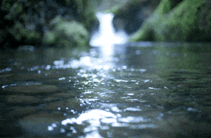 Girl Sigh GIF