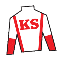 Horse Racing Silk Sticker by Kentucky Derby