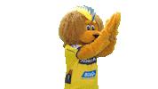 Handball-Bundesliga Lion Sticker by Rhein-Neckar Löwen