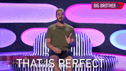 Bbau GIF by Big Brother Australia